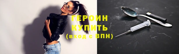 хмурый Пересвет