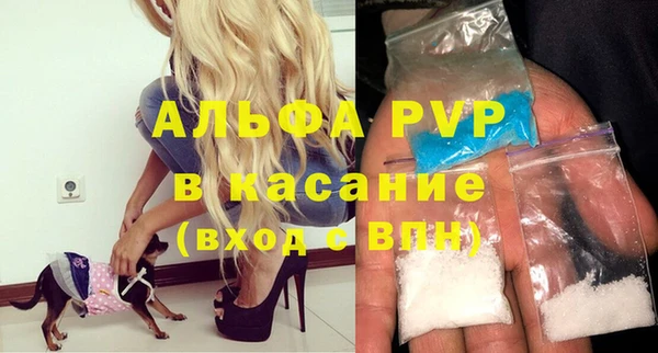 хмурый Пересвет