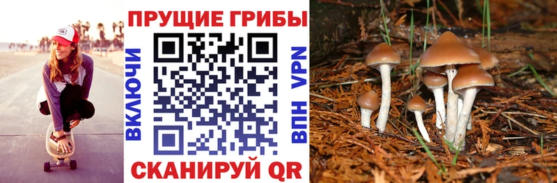 Галлюциногенные грибы MAGIC MUSHROOMS  Собинка 