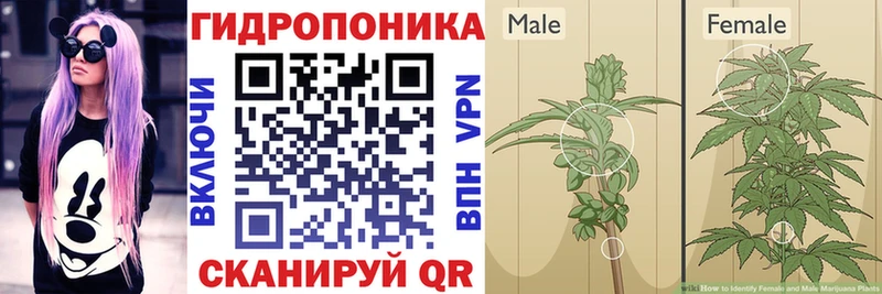 Шишки марихуана SATIVA & INDICA Собинка